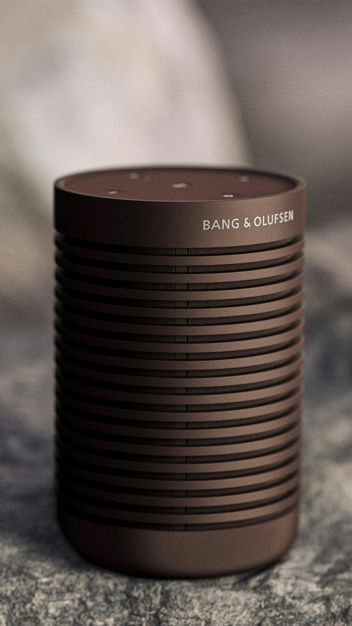 Brown speaker from Bang & Olufsen